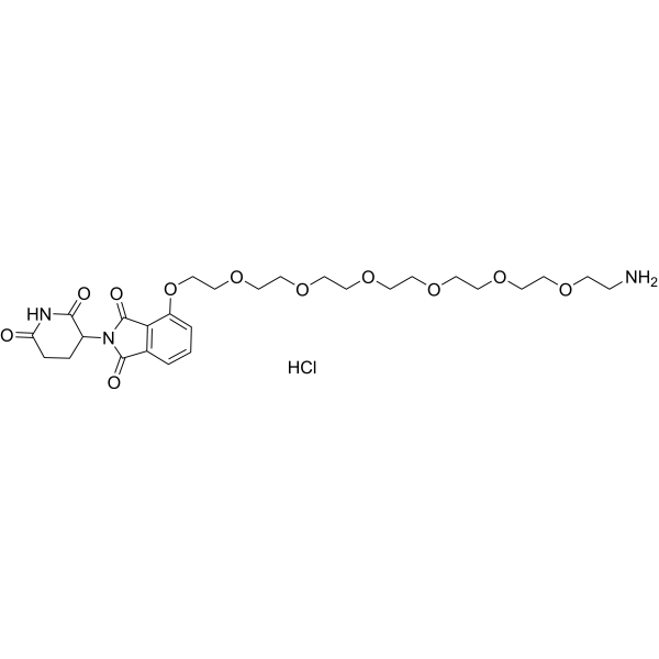 <em>Pomalidomide</em>-PEG7-NH2 hydrochloride