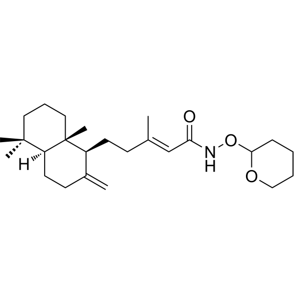 FAK-IN-11 Chemical Structure