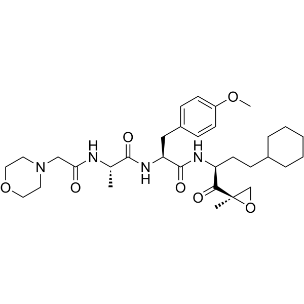 Proteasome <em>β2</em>c/i-IN-1