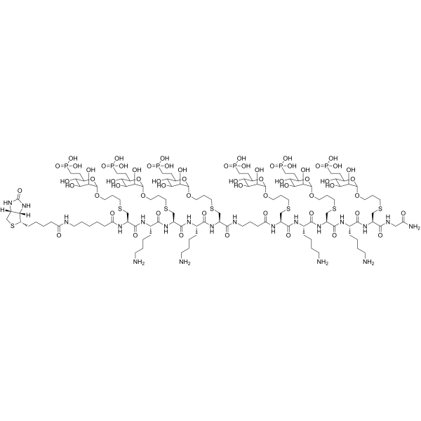 Biotin-εNle-CKCKC-γAbu-CKCKCG-NH2 (Cys modified with M6Pn)
