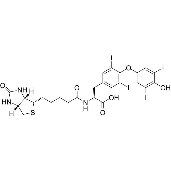 Biotin-(L-Thyroxine) Chemical Structure