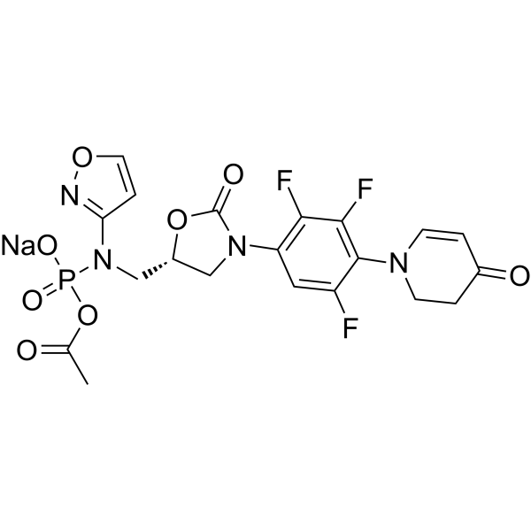 Contezolid acefosamil sodium