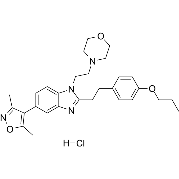 PF-CBP1 hydrochloride