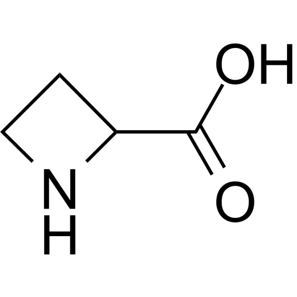 Azetidine-<em>2</em>-carboxylic acid