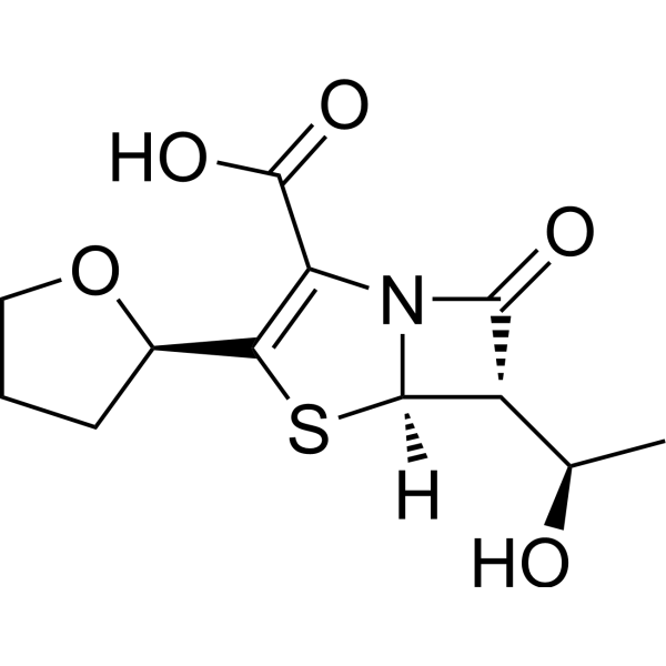 Faropenem Chemical Structure