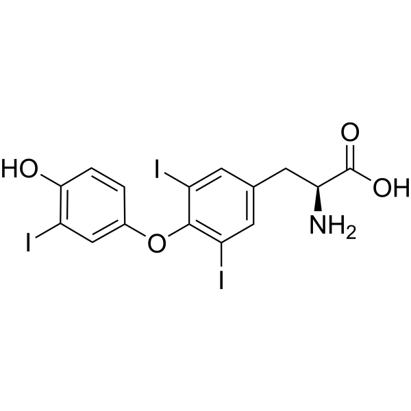 Liothyronine (GMP)