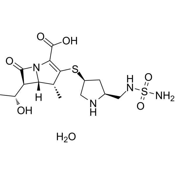 Doripenem monohydrate Chemical Structure