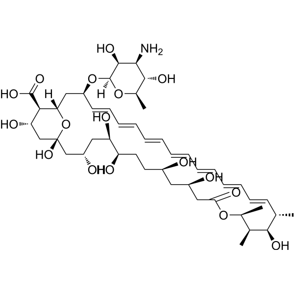 Amphotericin B (Standard) Chemical Structure