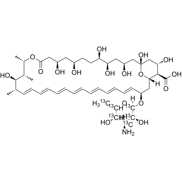 Amphotericin B-<sup>13</sup>C<sub>6</sub> Chemical Structure