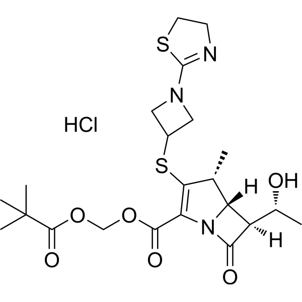 Tebipenem pivoxil hydrochloride Chemical Structure