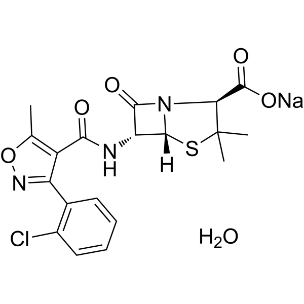 Cloxacillin sodium monohydrate