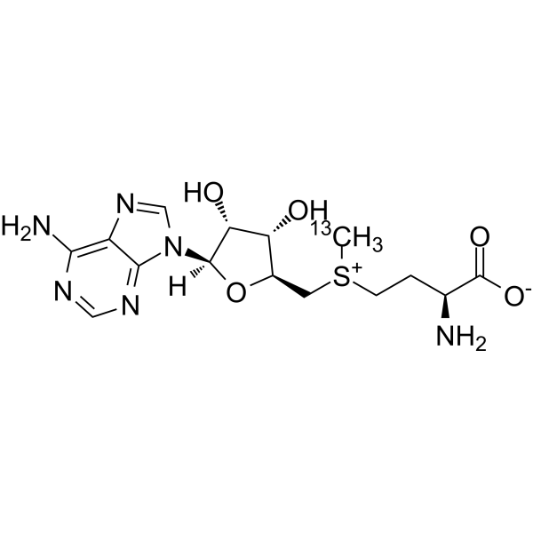 <em>S-Adenosyl</em>-L-<em>methionine</em>-13C