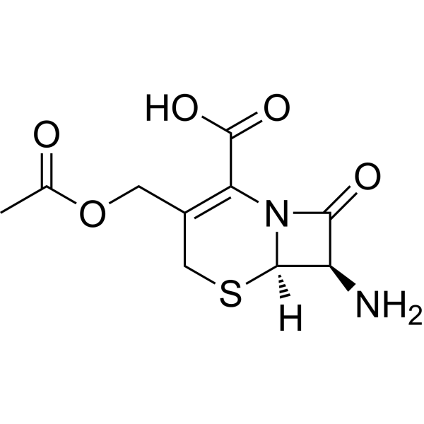 <em>7</em>-Aminocephalosporanic acid