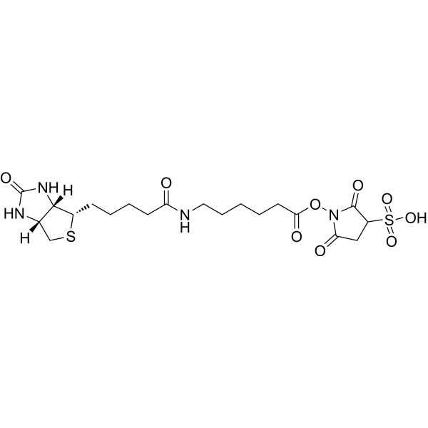 Sulfo-NHS-LC-Biotin Chemical Structure