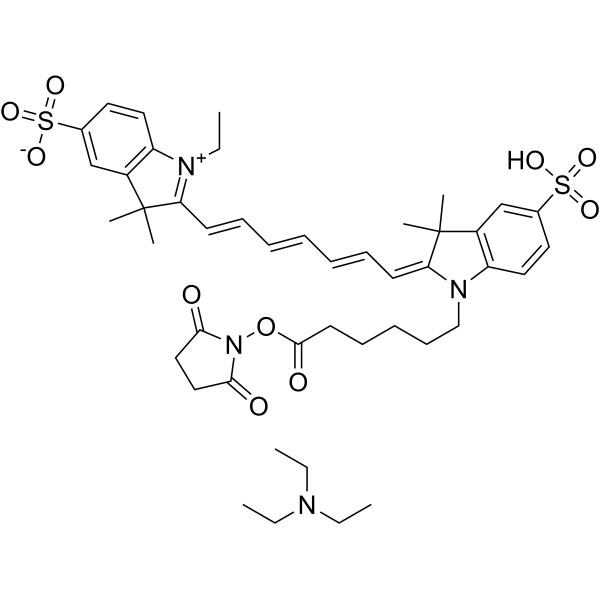 CY7-SE triethylamine