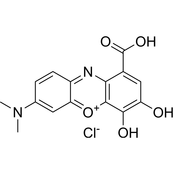 Gallocyanine chloride Chemical Structure