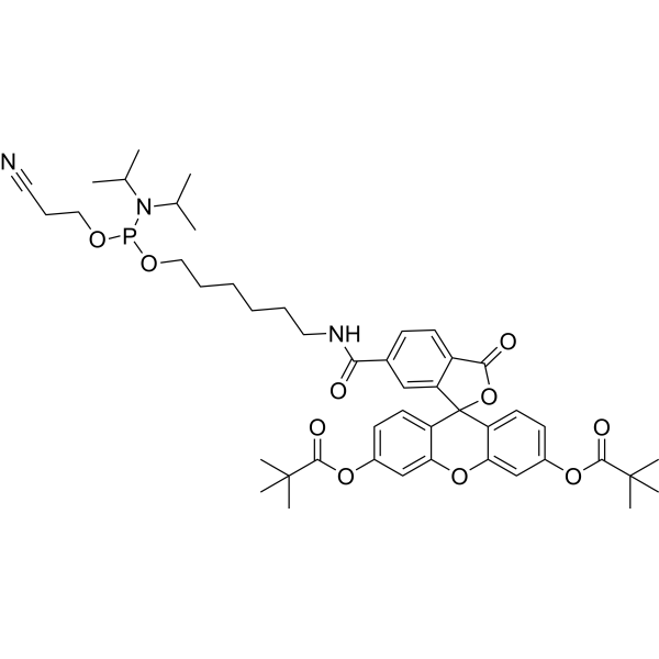 6-<em>Fluorescein</em> phosphoramidite