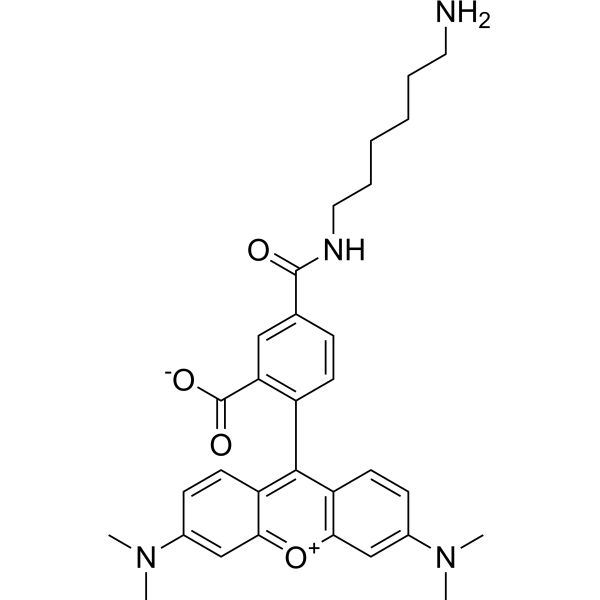 TAMRA amine, 5-isomer Chemical Structure