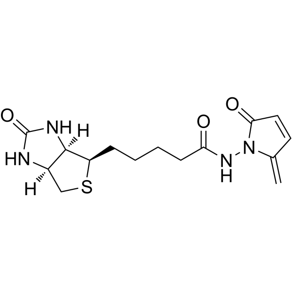 L-Biotin-NH-5MP Chemical Structure