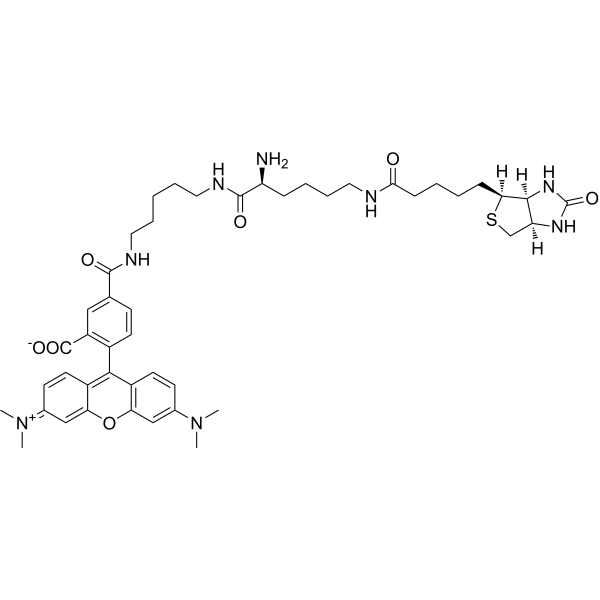 TMR Biocytin Chemical Structure