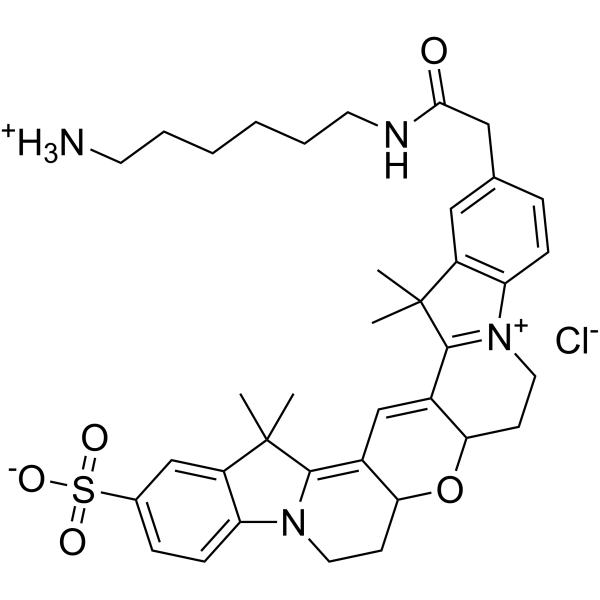 Cy3B amine chloride Chemical Structure