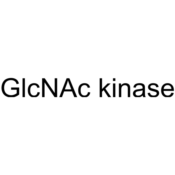 GlcNAc kinase (EcNagK) Chemical Structure