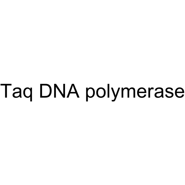 Taq <em>DNA</em> <em>polymerase</em>