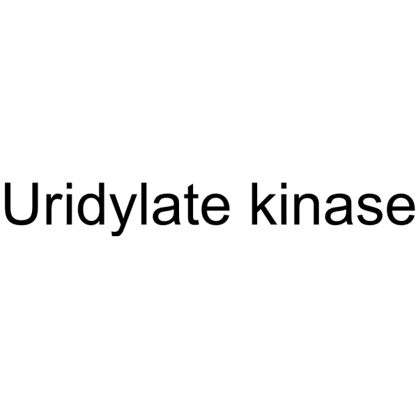Uridylate kinase Chemical Structure