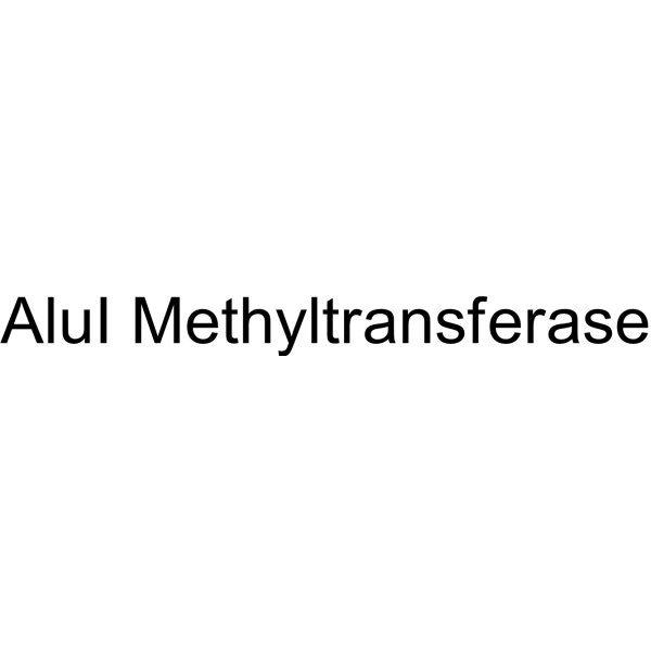AluI Methyltransferase