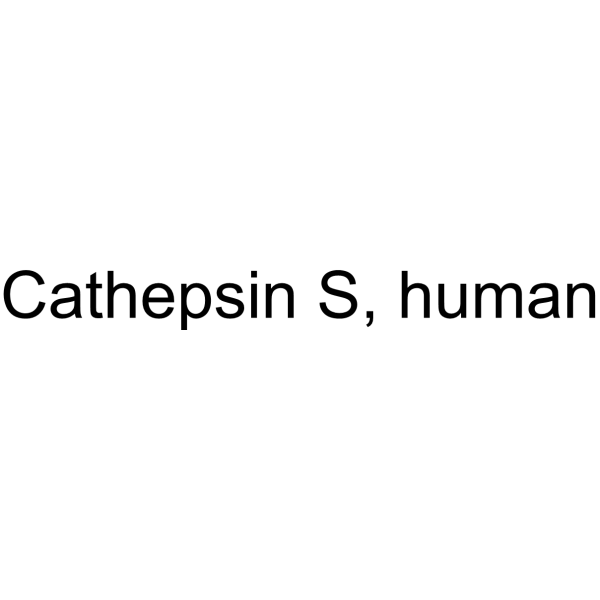 Cathepsin S, human Chemical Structure
