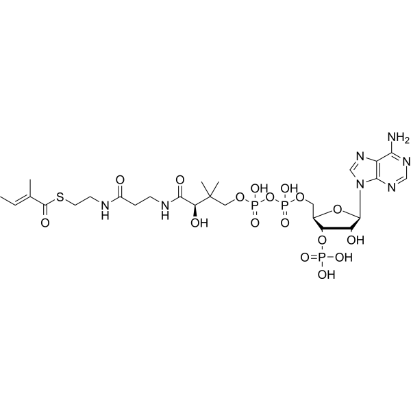 Tigloyl-CoA Chemical Structure