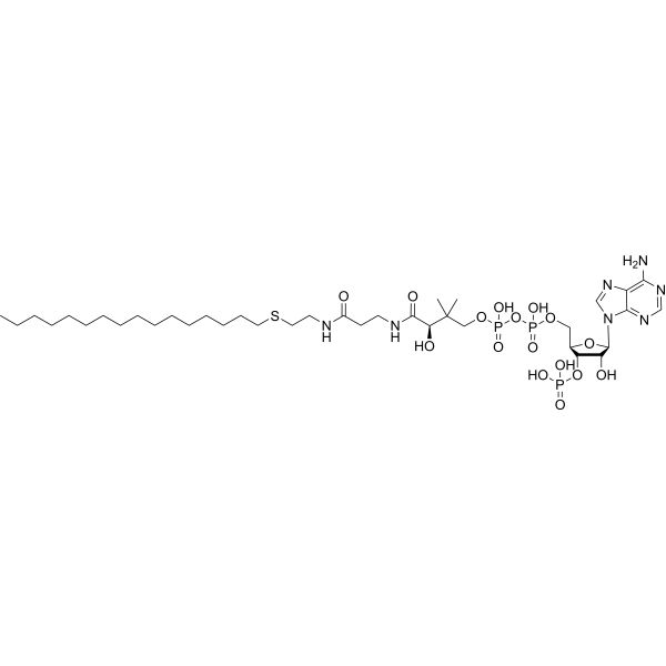 Hexadecyl-CoA Chemical Structure