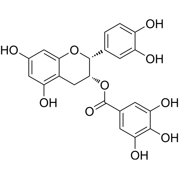 (-)-Epicatechin gallate (Standard) Chemical Structure