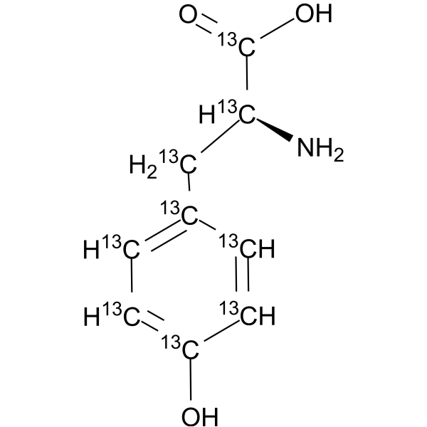 L-Tyrosine-<sup>13</sup>C<sub>9</sub> Chemical Structure