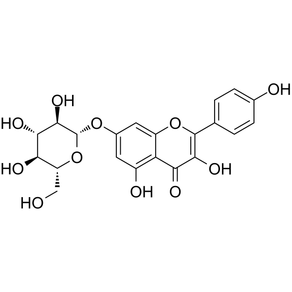 Kaempferol-7-O-β-D-glucopyranoside Chemical Structure