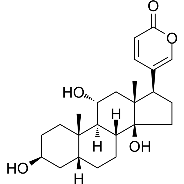 Gamabufotalin Chemical Structure