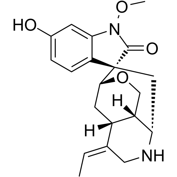 <em>11-Hydroxyrankinidine</em>