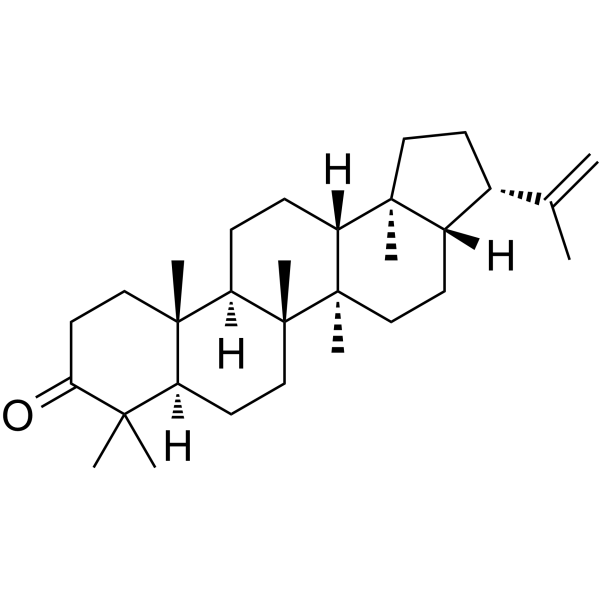 3-Oxo-hop-22(29)-ene Chemical Structure