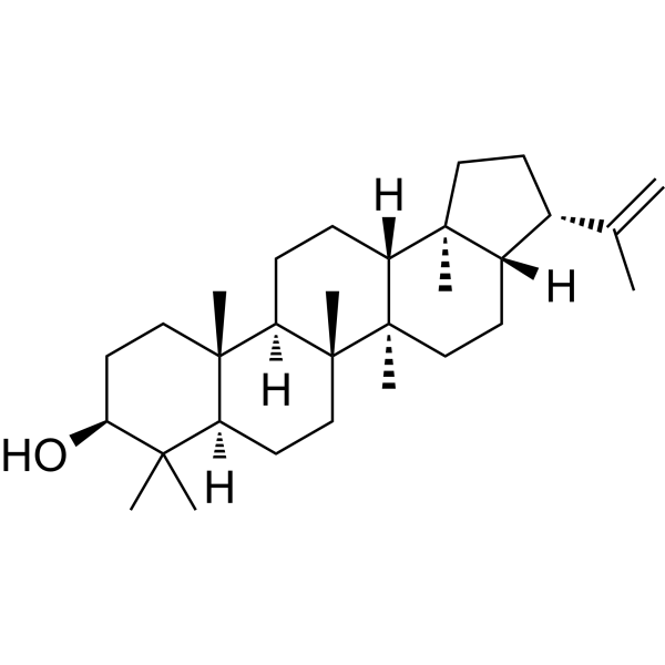 3β-Hydroxy-hop-22(29)-ene Chemical Structure