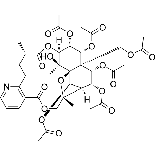 Evonimine Chemical Structure