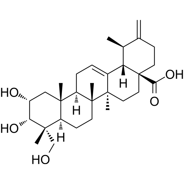 2a,3a,23-Trihydroxyurs-12,20(30)-dien-28-oic acid