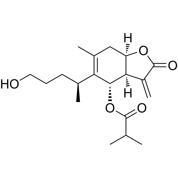 6-O-Isobutyrylbritannilactone Chemical Structure