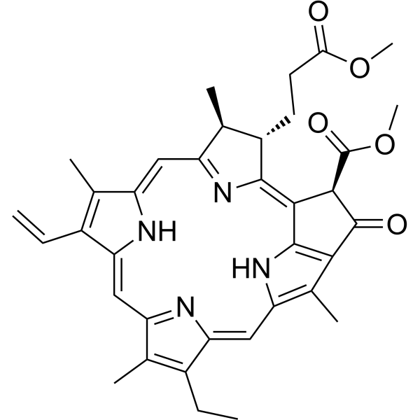 Methyl pheophorbide a Chemical Structure