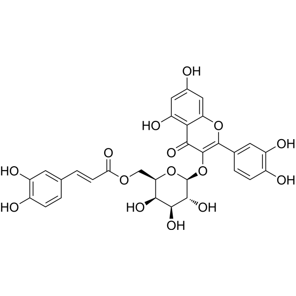 Quercetin-3-O-(6''-O-Ecaffeoyl)-β-D-galactopyranoside Chemical Structure