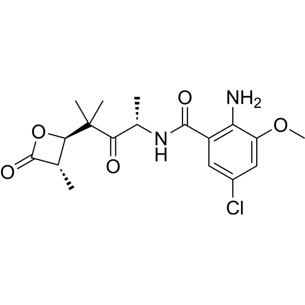 Amoxetamide A Chemical Structure