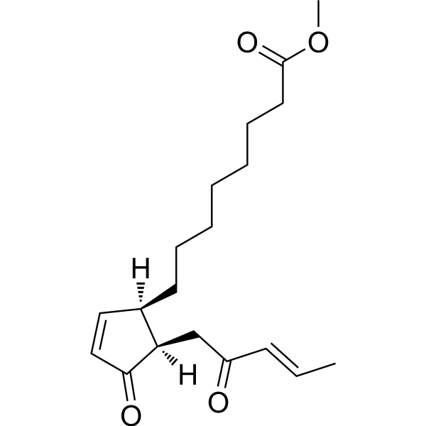 Callicarboric acid A Chemical Structure