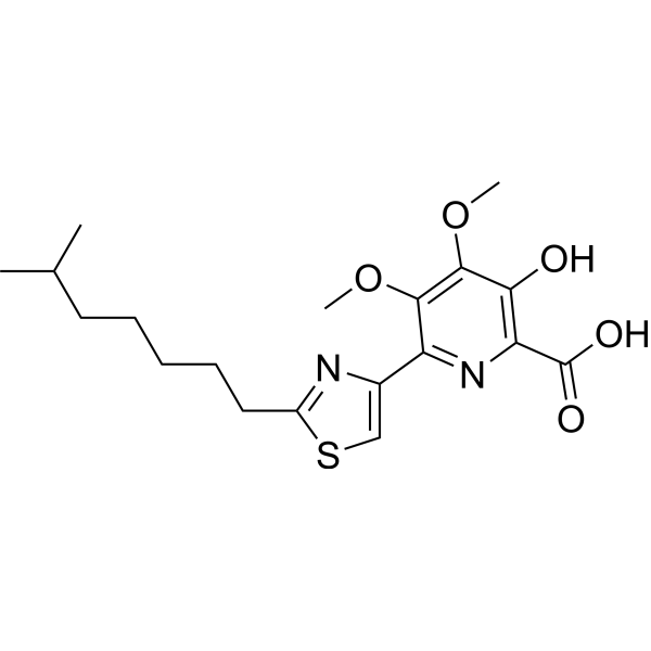 Catenulopyrizomicin A