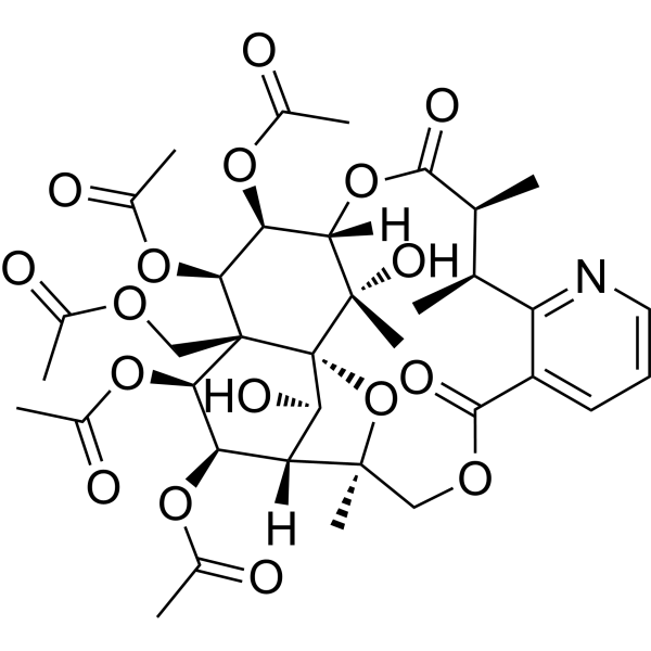 Neoeuonymine Chemical Structure