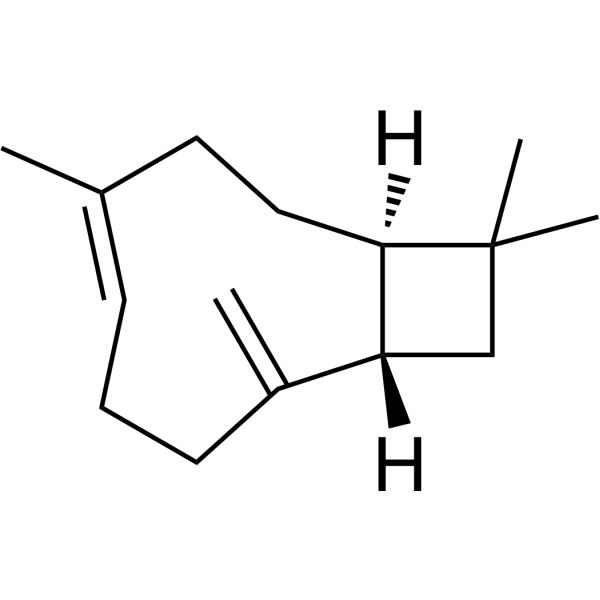 <em>β-Caryophyllene</em> (<em>Standard</em>)