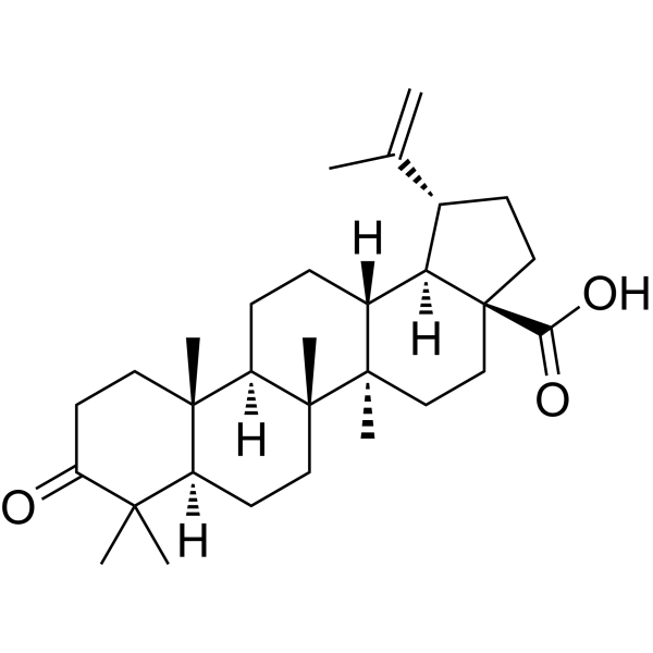 Betulonic acid Chemical Structure